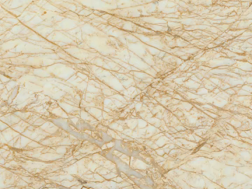 goose feather gold texture (ID:ffacf2388)