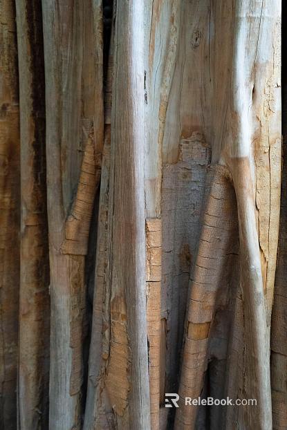 bark texture