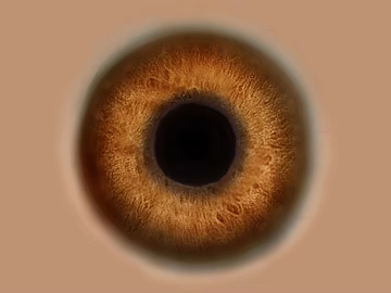Brown eye iris map texture (ID:ffaeh806216)