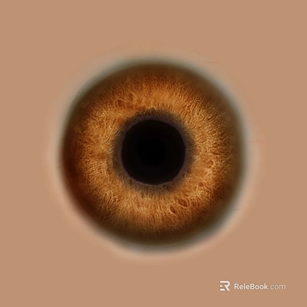 Brown eye iris map texture