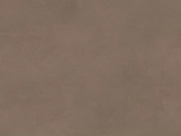 Tan-colored fine-grain leather upholstery fabric texture (ID:ffaeh923882)
