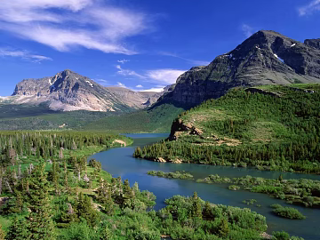 Wild Scenery texture (ID:ffaeg13911)
