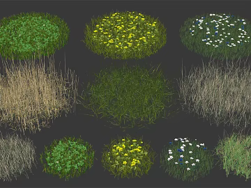 Multi-category turf courtyard landscaping texture (ID:ffaeh368836)