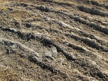 Mud 3d model