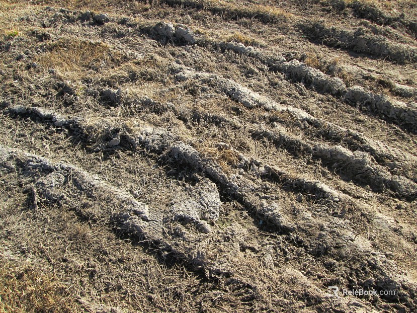 Mud texture
