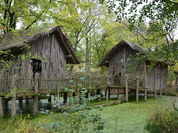 Natural Wooden House texture (ID:ffach799984)