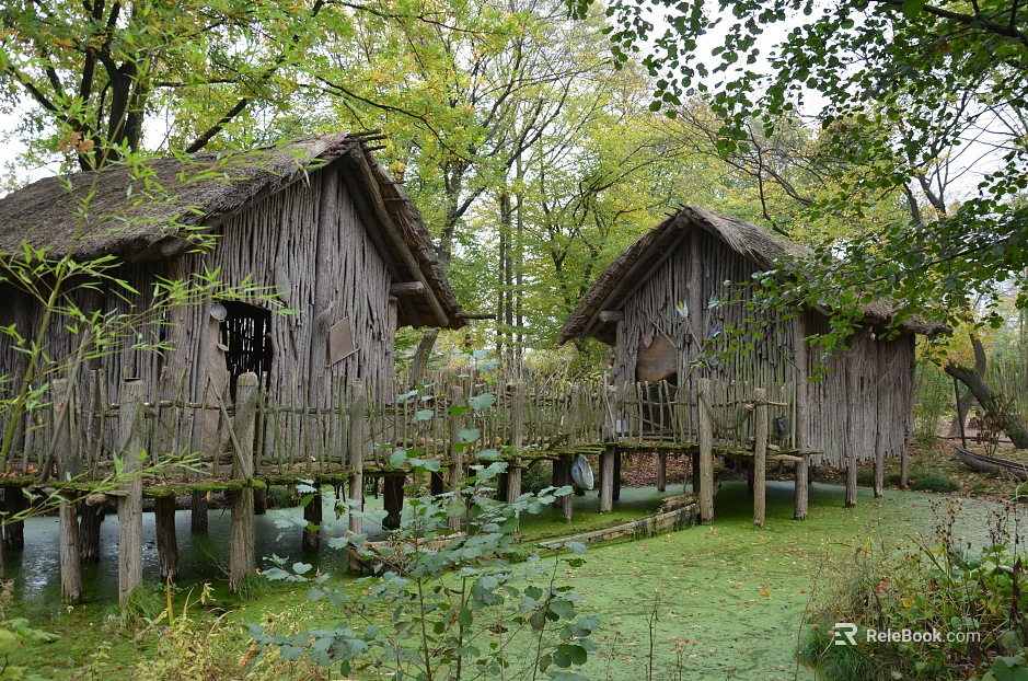 Natural Wooden House texture