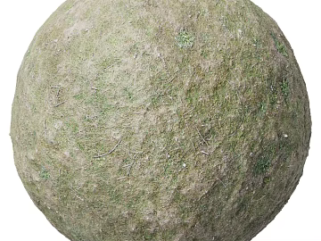 Grassland PBR texture (ID:ffach431181)