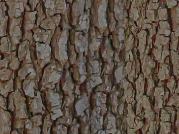 bark texture (ID:ffaeg02396)