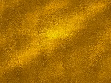 Gold Foil 3d model