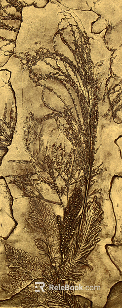 Metal relief texture