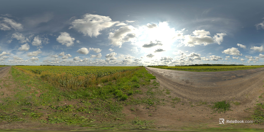 outdoor sunny day cloudless wilderness road hdr texture
