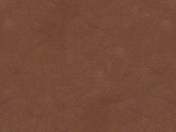 fine grain leather texture (ID:ffagg22601)