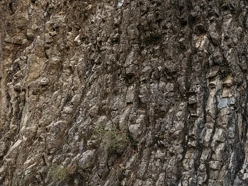 mountain rock wall texture (ID:ffaeg59027)