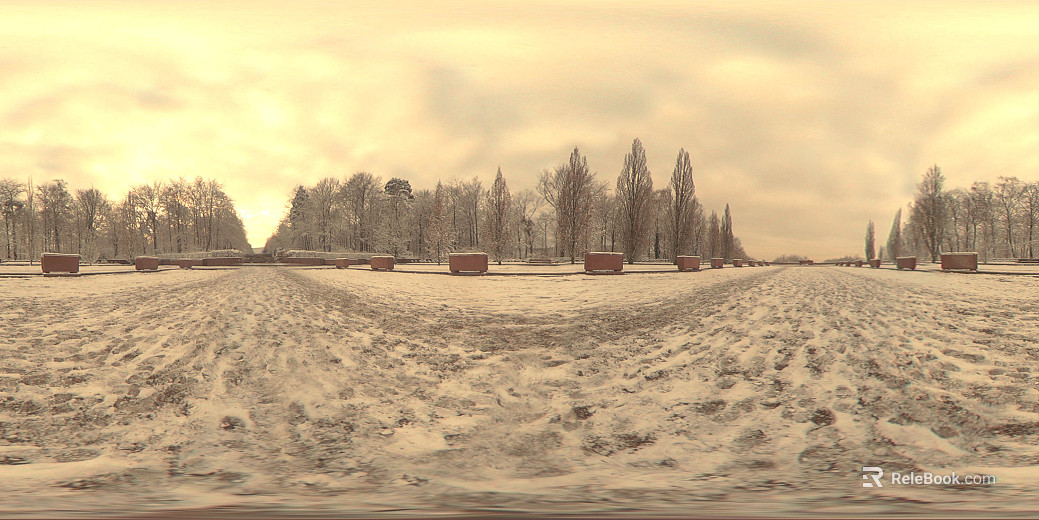 outdoor winter dusk snow forest hdr texture