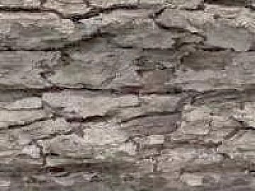 Gray-black tree bark wall decoration texture (ID:ffaeh856129)