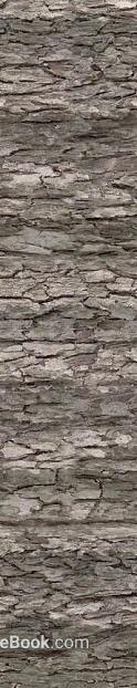 Gray-black tree bark wall decoration texture