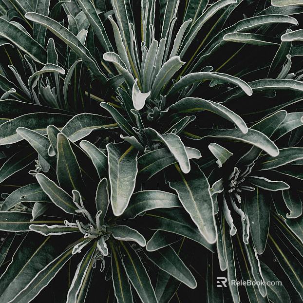 plant pattern texture