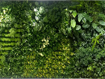 Plants texture (ID:ffaeg20726)