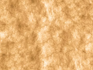Skin texture (ID:ffach028890)