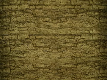 bark texture (ID:ffacg49878)