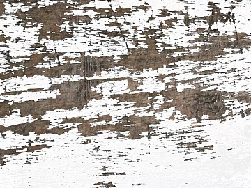 Scratch diagram of old wood white paint texture (ID:ffabg62274)