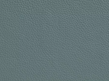 Coarse-grain leather 3d model