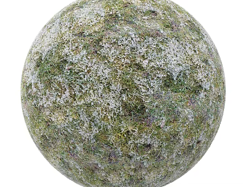 Grassland PBR texture (ID:ffach714844)