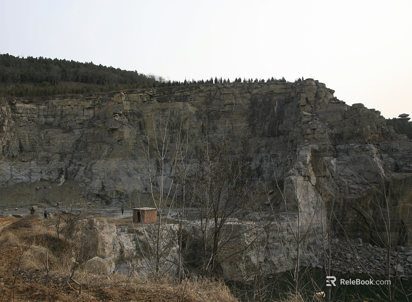 Wild Scenery texture
