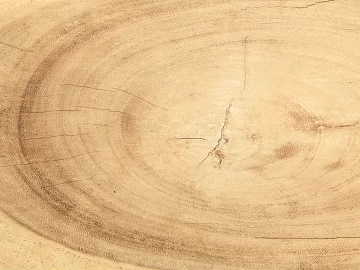 annual rings texture (ID:ffaag66134)