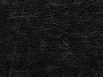fine grain leather 3d model
