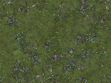 Grassland texture (ID:ffach520946)