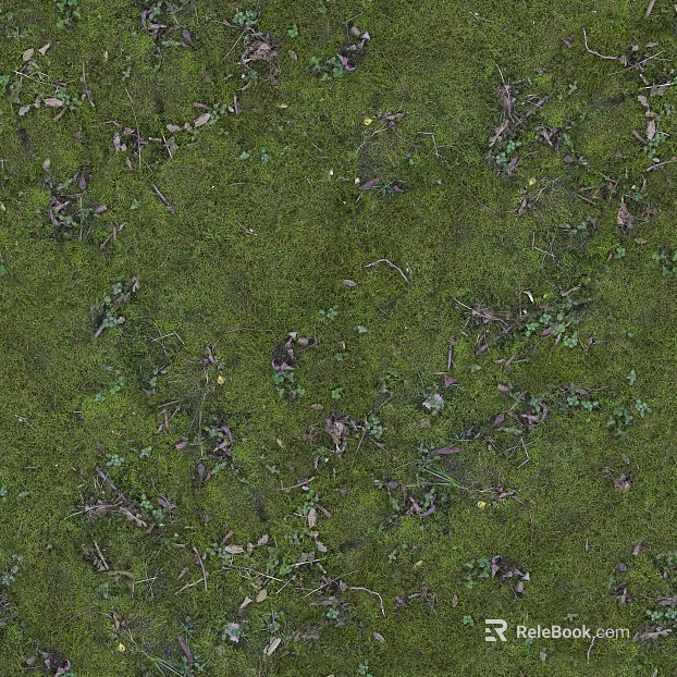 Grassland texture