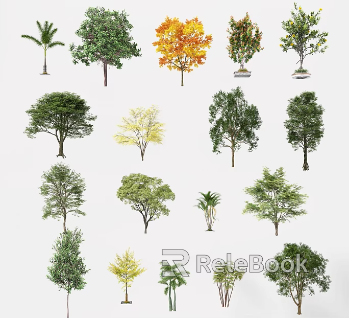 Plants texture