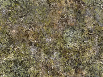moss texture (ID:ffagg51441)