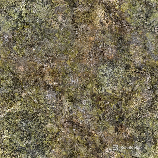 moss texture