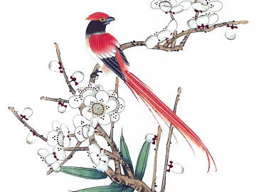 flower and bird decorative painting texture (ID:ffabf7316)