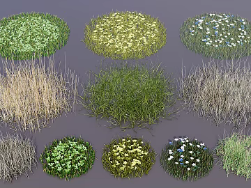 Multicolor weed flower landscape vegetation 3d model