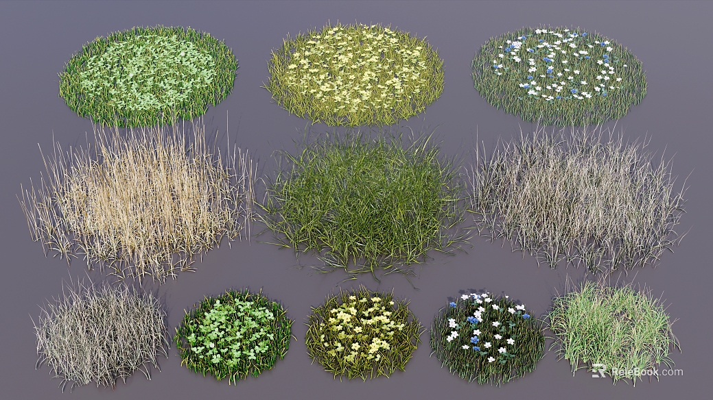 Multicolor weed flower landscape vegetation texture