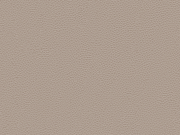 fine grain leather texture (ID:ffabg08707)