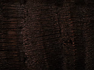 bark texture (ID:ffacg29678)