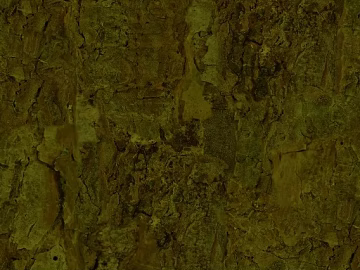 bark texture (ID:ffach463116)