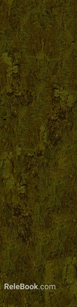 bark texture