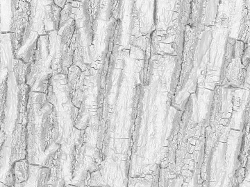 Black and White Bump texture (ID:ffajg58566)