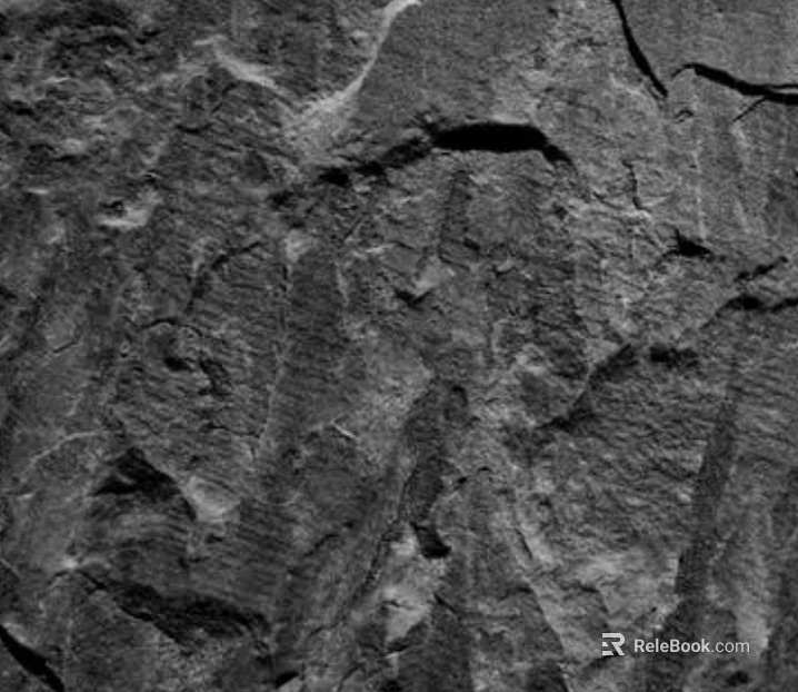 Black and White Bump texture