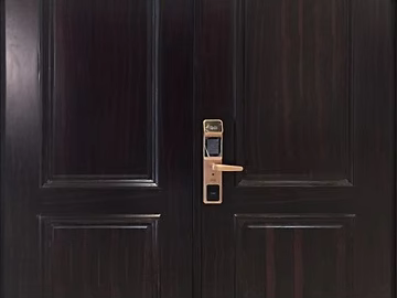 Wooden door texture (ID:ffaeg06654)