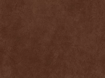 fine grain leather 3d model