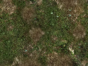Turf texture (ID:ffajg59020)