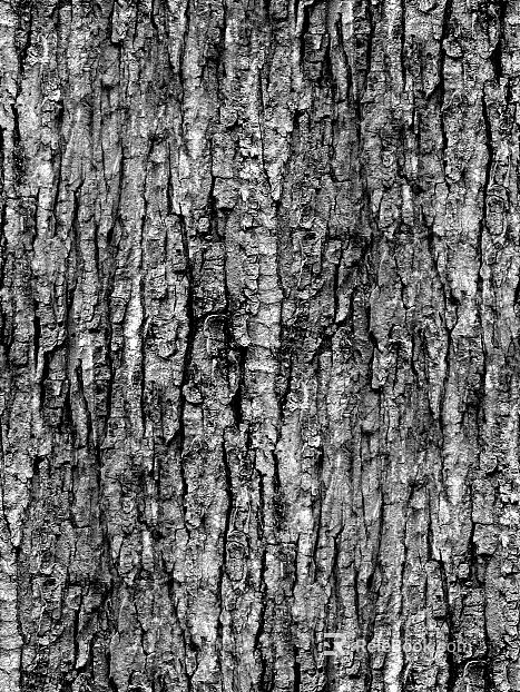 Bump Black and White Map texture