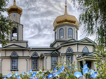 Gorgeous Architecture texture (ID:ffagg90992)